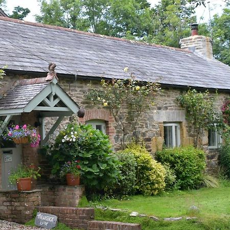 Bed and Breakfast Trewassick Barn New Quay Zewnętrze zdjęcie